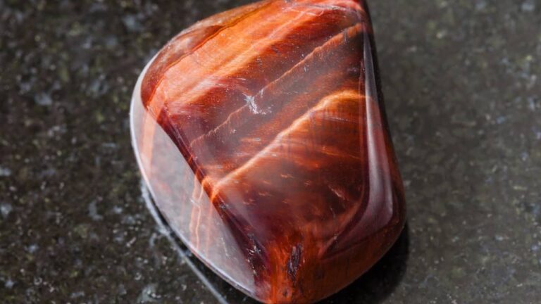 tout savoir oeil de taureau