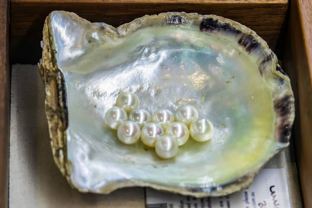 perles de culture